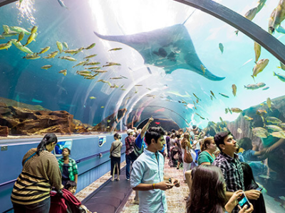 Atlanta Jewish Life Festival!